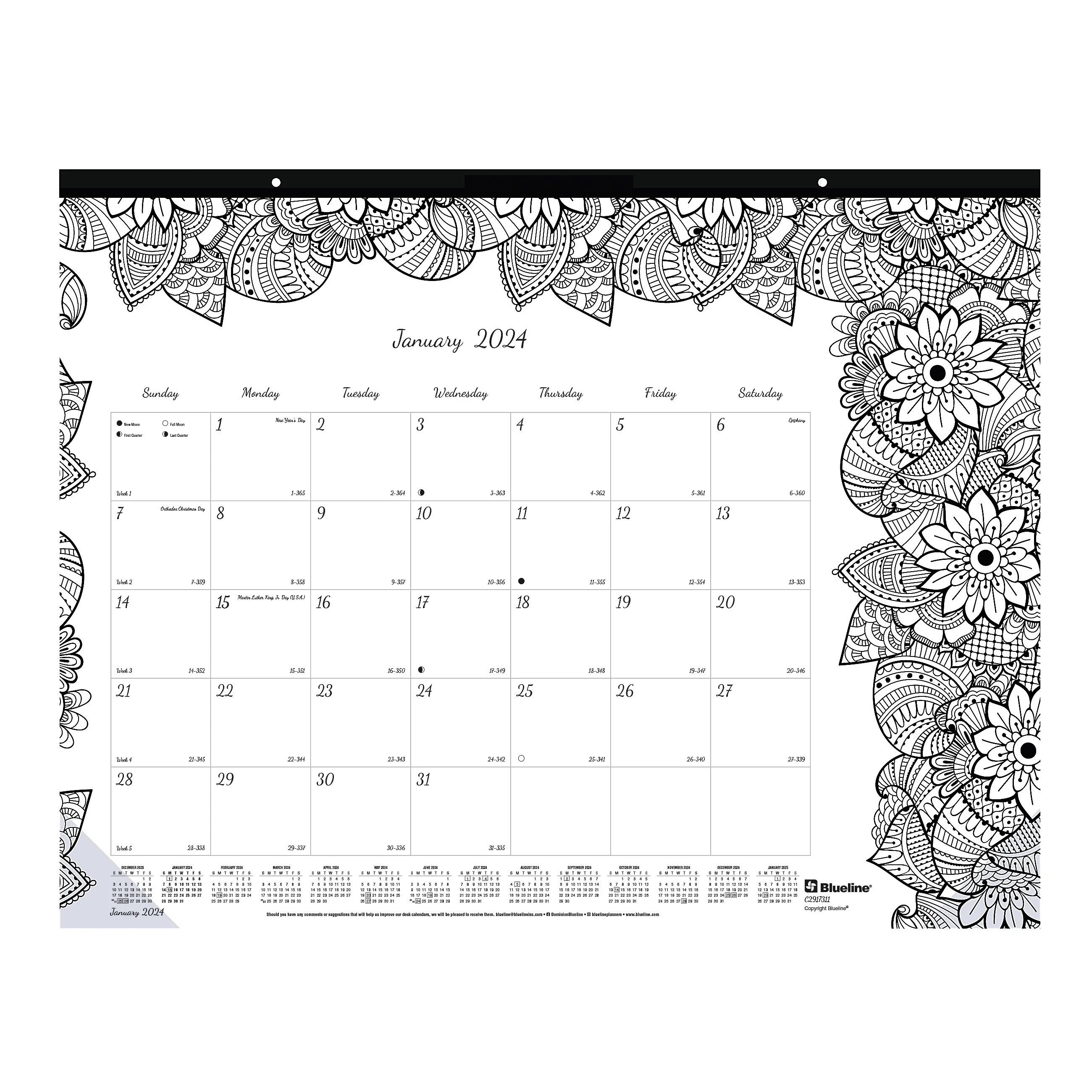 2024 Blueline® DoodlePlan Monthly Desk Pad Calendar, 22" x 17", Botanica, January To December 2024 , C2917311