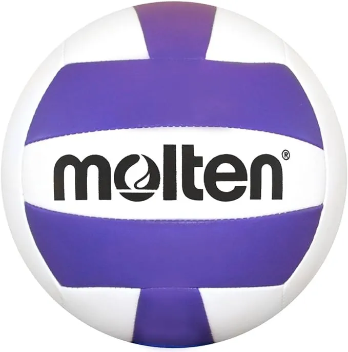 Camp Volleyball (Pink/White, Official)