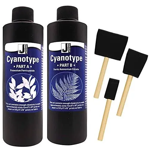 Jacquard Cyanotype Kit Sensitizer Set of 2,Cyanotype Chemicals for Photographic 