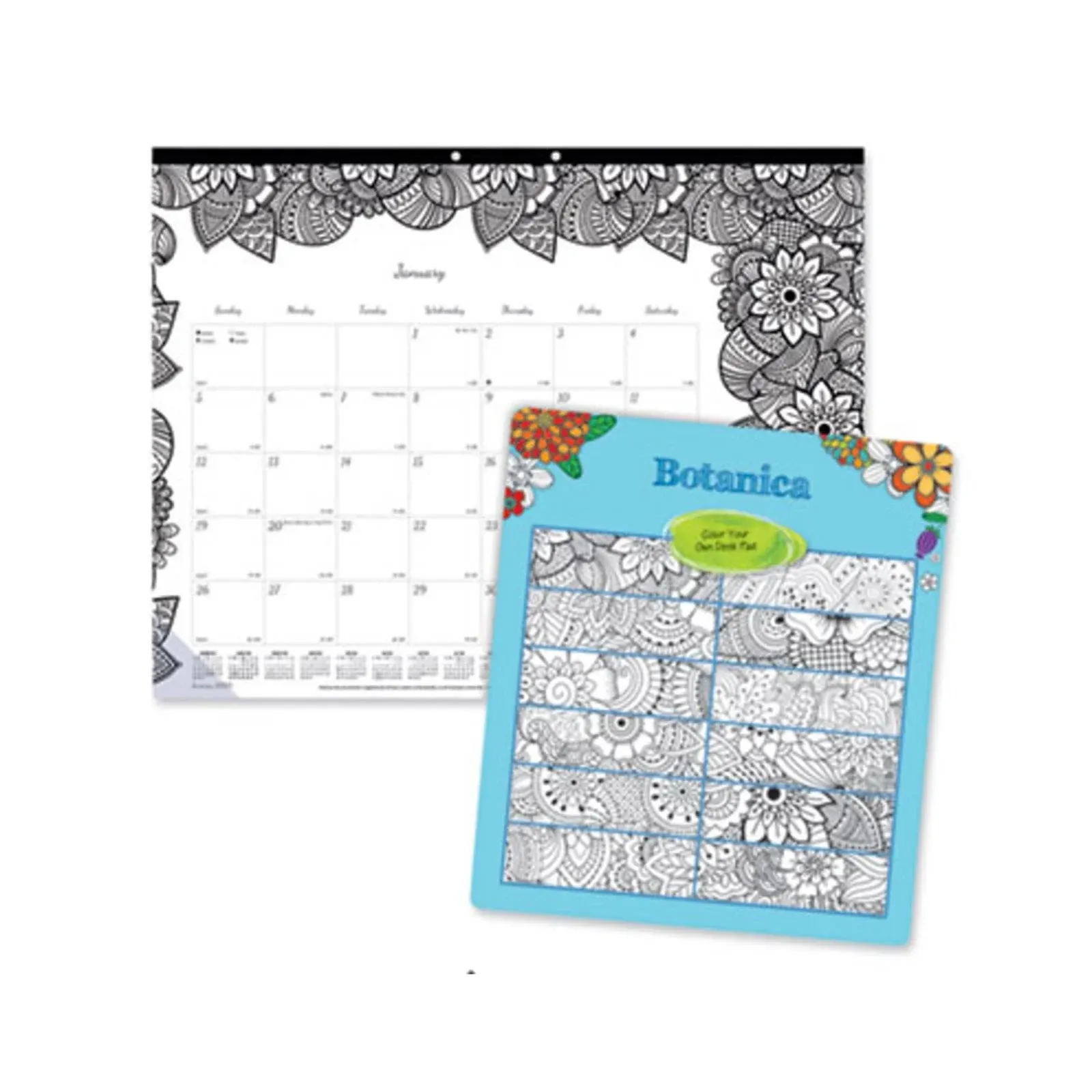 Blueline 2024 DoodlePlan Monthly Coloring Desk Pad Calendar, 12 Months, January to December, 22" x 17", Botanica Designs (C2917311-24)