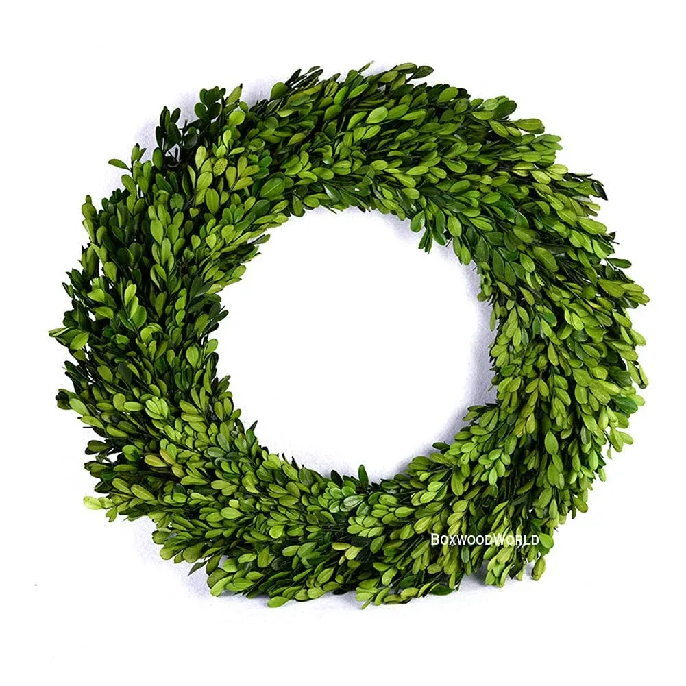 Boxwood Wreath Large 17 inch Preserved Nature Real Boxwood Wreath Home Decor ...