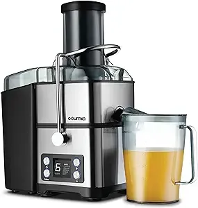 Gourmia 6 Speed Wide Mouth Juice Extraction with Self-Clean: Stainless Steel Juicer, 800W, Dishwasher-Safe Parts