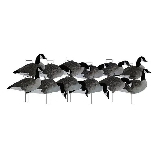 Dakota Decoy Silhouette Canada Goose Decoys