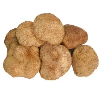 Dried Lion's Mane Mushrooms - 8 oz. Life Gourmet Shop