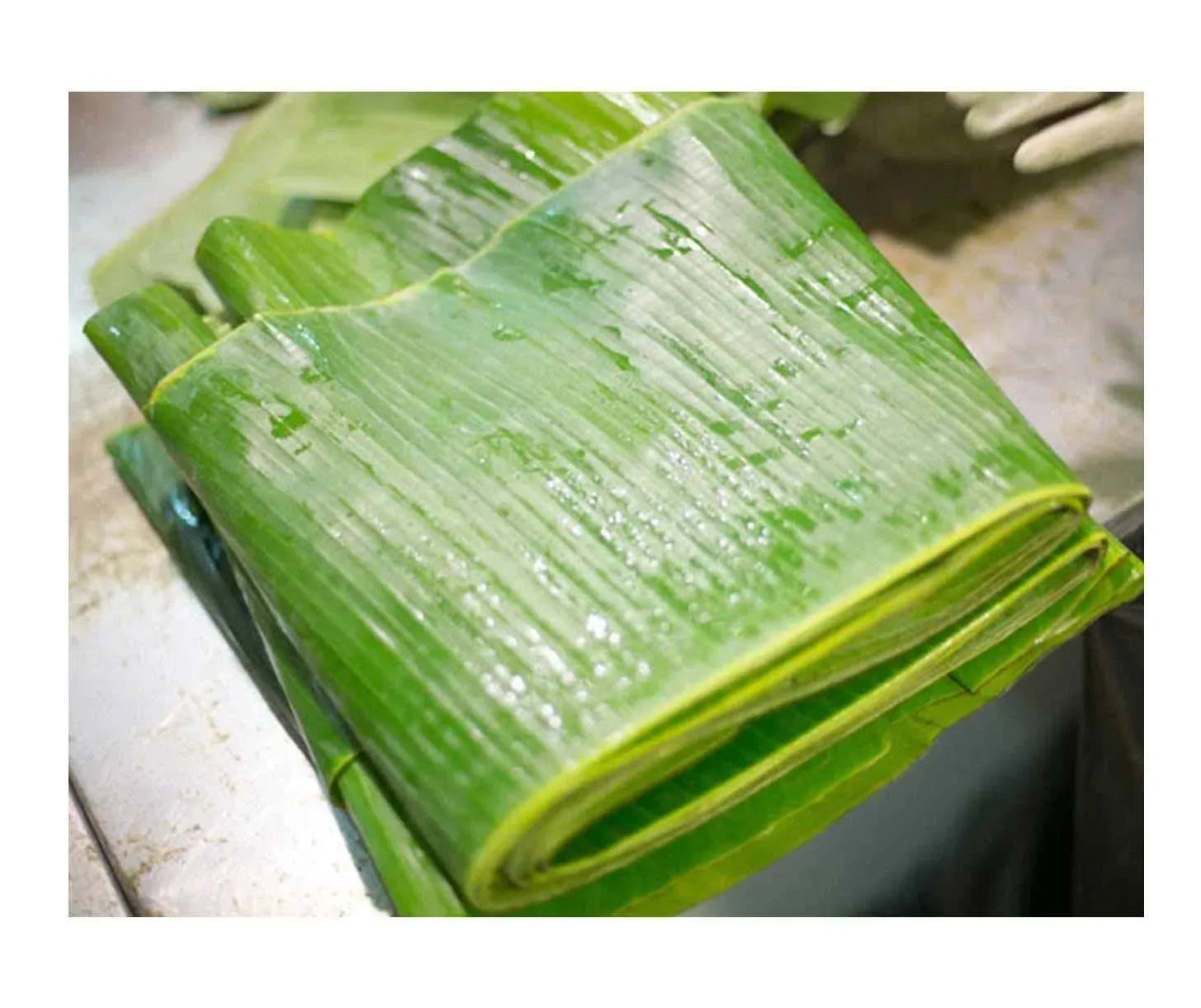 TastePadThai Fresh Banana Leaves