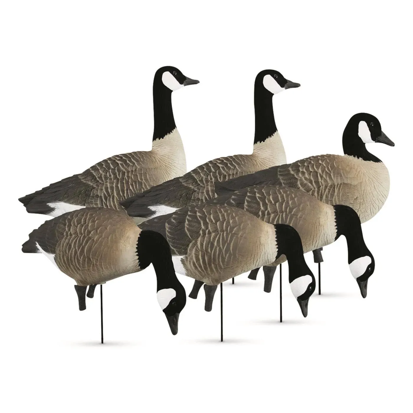 Higdon Outdoors Apex Full-Size Full-Body Variety Pack - Canada Goose