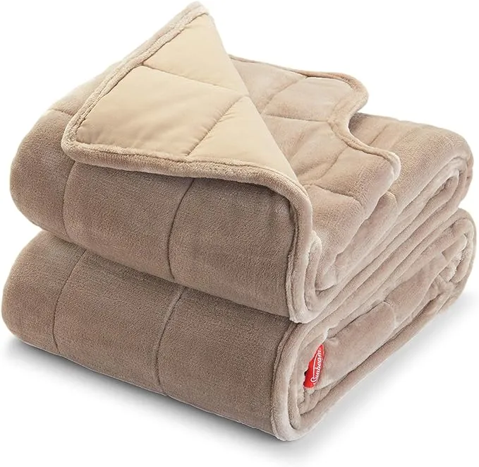 Sunbeam Extra Warm Weighted Blanket | 15 Pounds, Reversible Plush