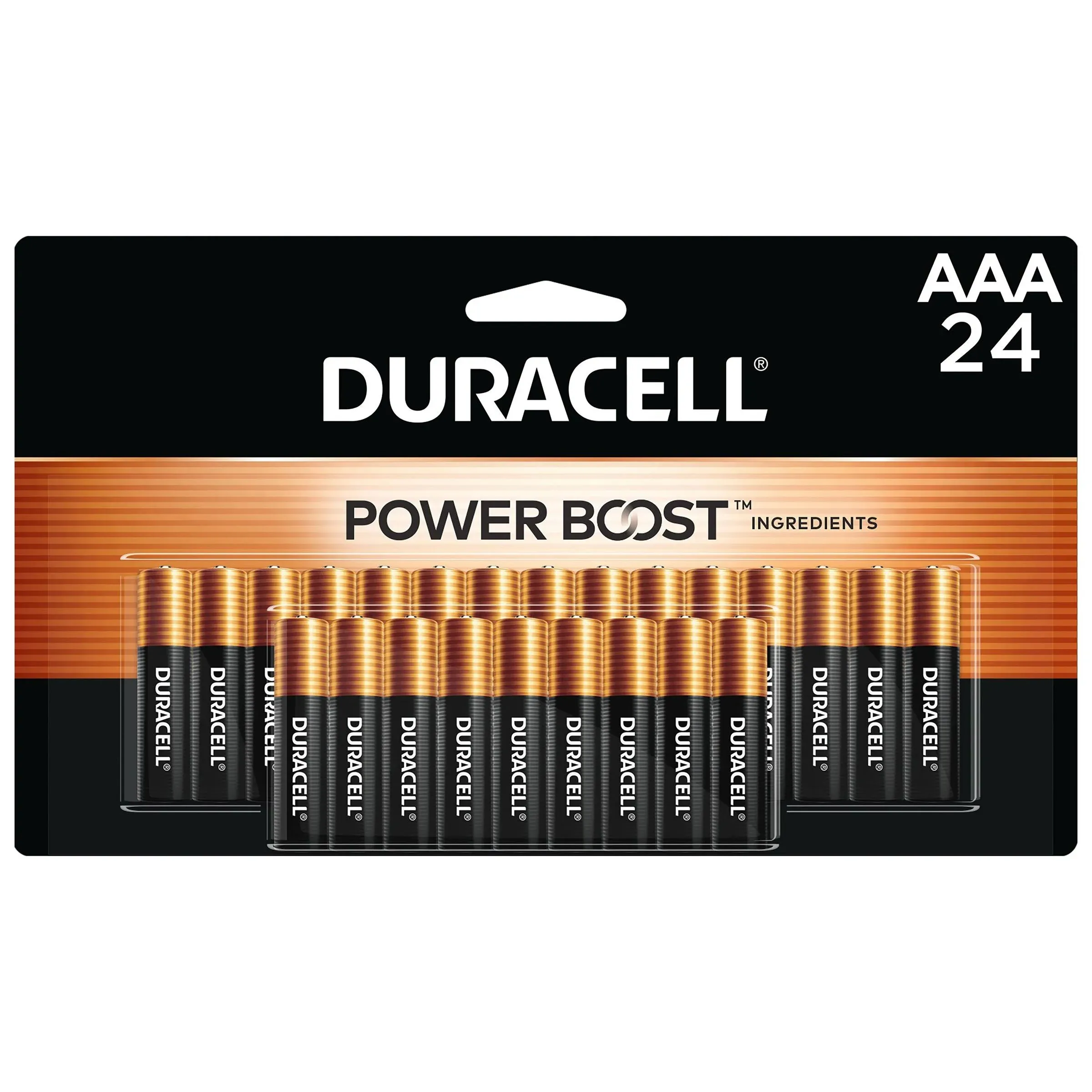 Duracell CopperTop AAA Alkaline Batteries - 24 Pack