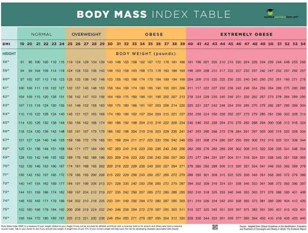 Nutrition Education Store BMI POSTER - BMI CHART POSTER - BODY MASS INDEX POSTER - 18" X 24" POSTER - LAMINATED