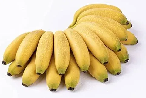 Apple Bananas, Fresh Apple Bananas, Manzano Banana 2.5 lbs