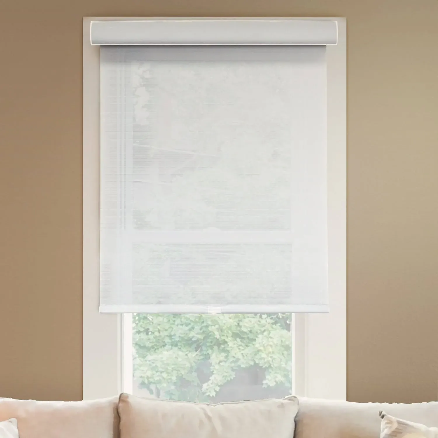 Chicology Light Filtering Deluxe Free-Stop Cordless Roller Shades, Size: 67 inchw x 72 inchh