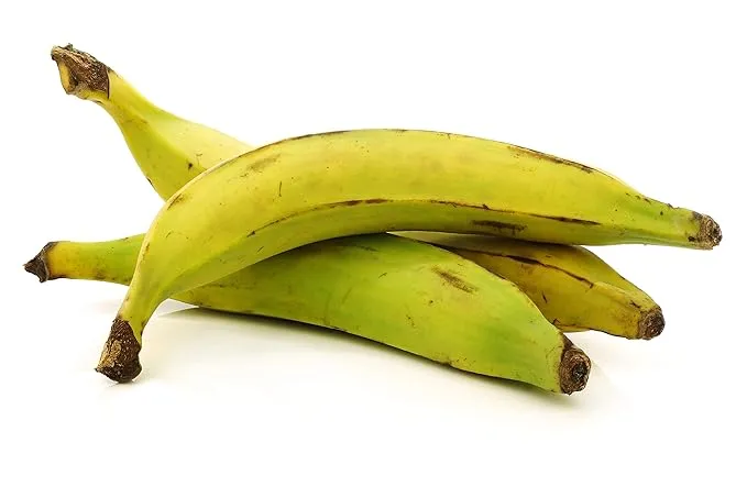 Fresh Whole Plantains (5lb) Tropical Importers