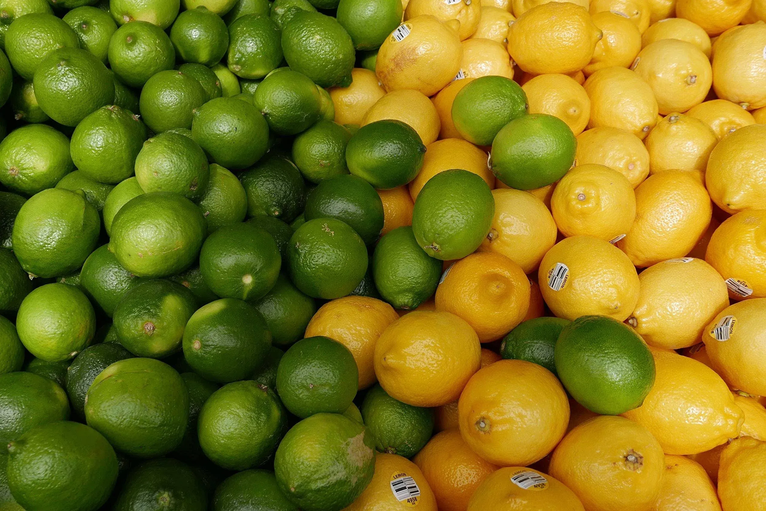 Kejora Fresh Lemons + Fresh Limes Bundle (3 lb Lemon + 3 lb Limes)