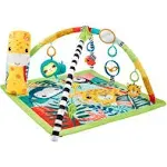 Fisher-Price 3-in-1 Rainforest Sensory Gym