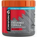 Gatorade Endurance Formula Powder