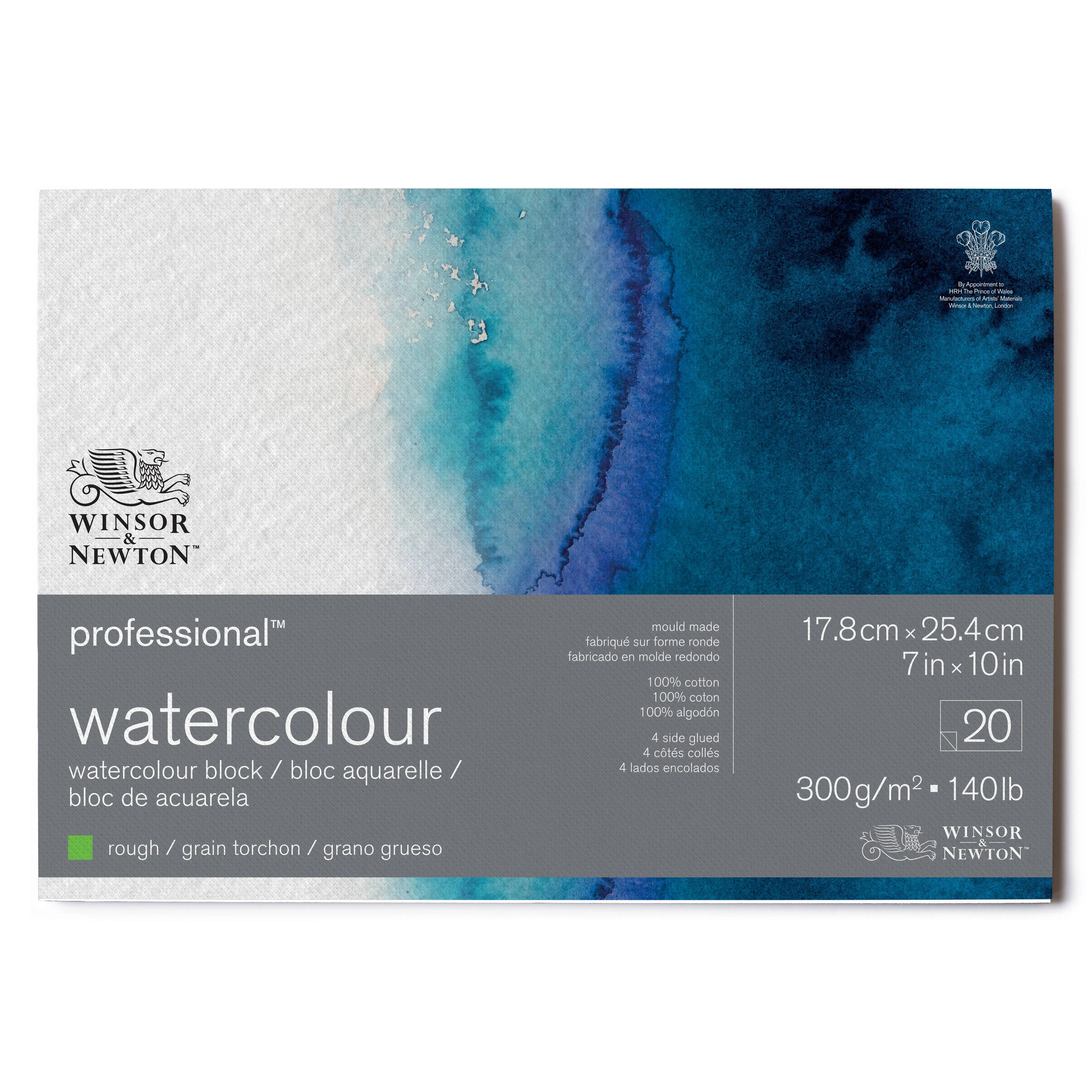 Winsor & Newton Professional Watercolor Paper Block, 7" x 10", Rough