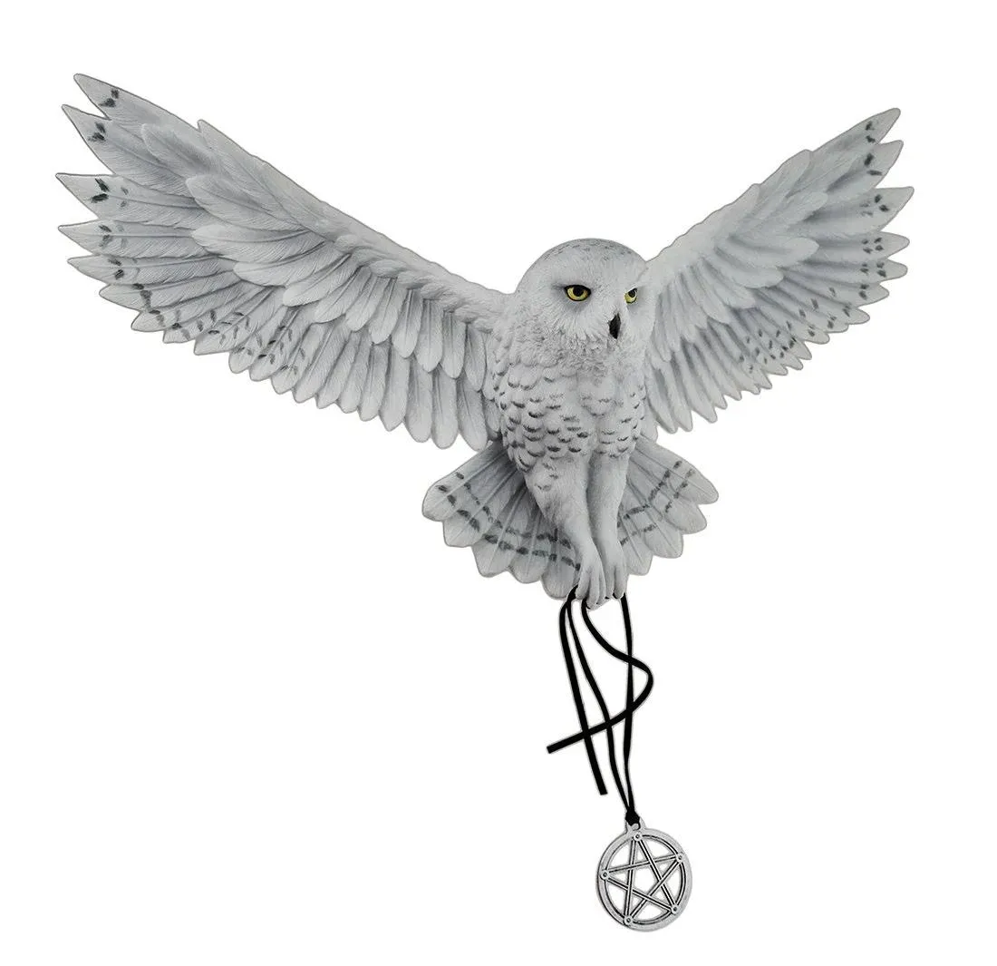 Awaken Your Magic (Owl with Pentagram) Wall Sculpture by Anne Stokes - Contemporary - Decorative Objects And Figurines - by AllSculptures | Houzz