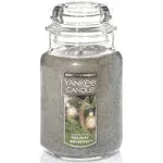 Holiday Bayberry Large Jar Candle,Fresh ScentQ