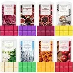 SCENTORINI Scented Wax Melts, Fall Wax Melts, 8x2.5 oz, Vanilla & Coconut, Apple & Cinnamon, Pumpkin, Mint & White Jasmine, Winter Cedarwood, Black Pomegranate, Mediterranean Fig