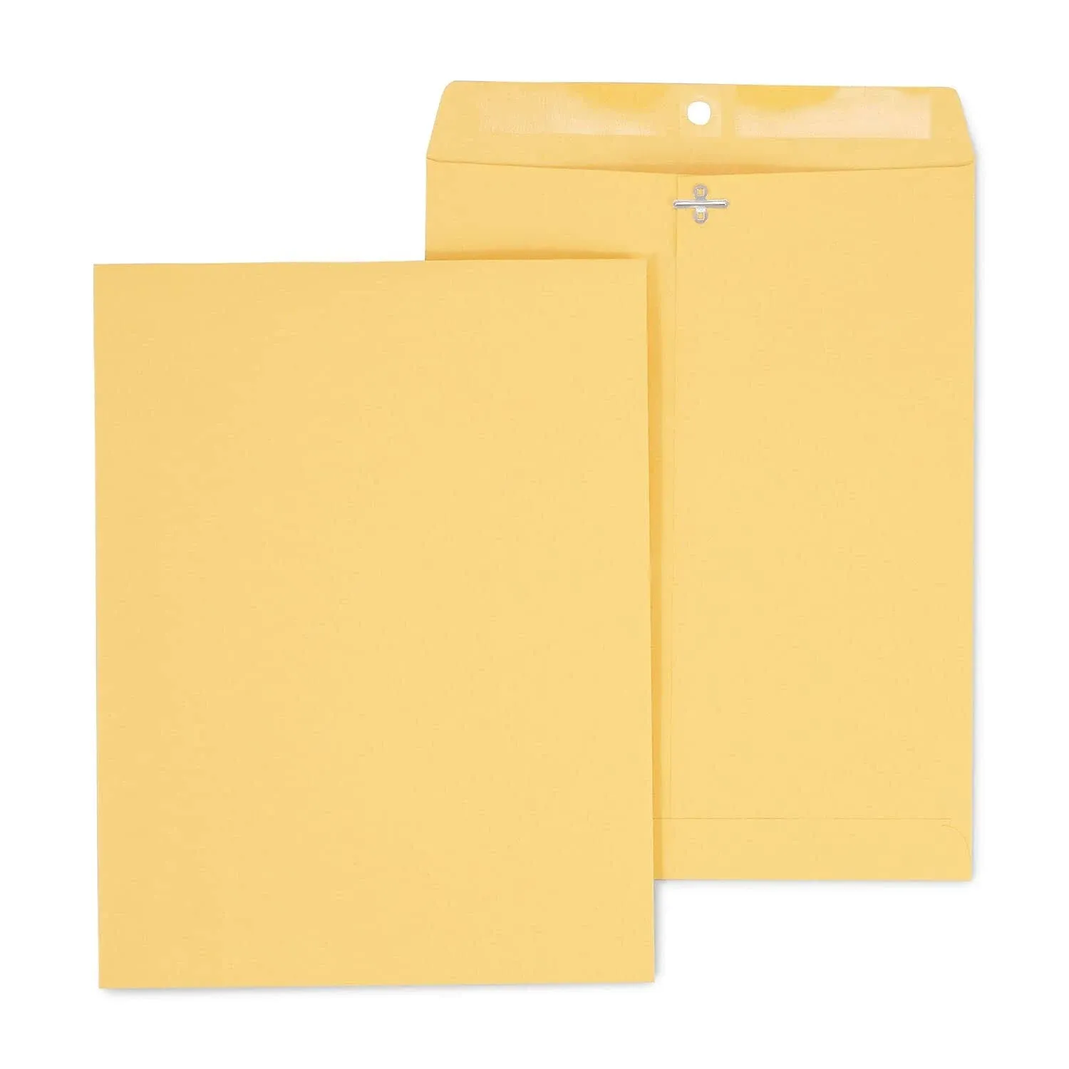 Staples Clasp & Gummed Catalog Envelopes