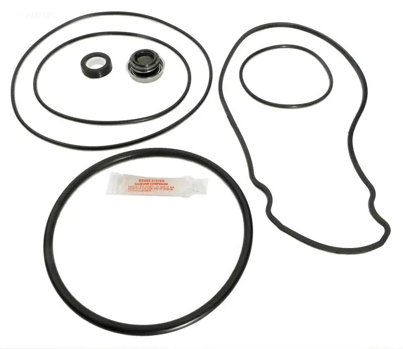 Epp APCK1027 Pentair WhisperFlo Pool Pump O-Ring Kit