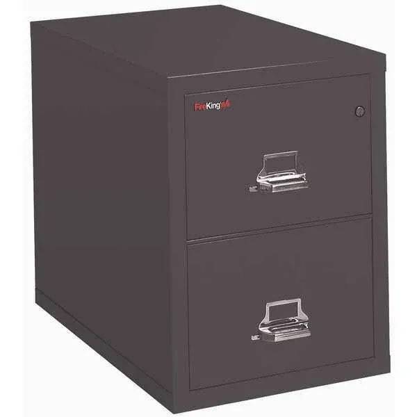 FireKing Fireproof Vertical File Cabinet (2 Letter Sized Drawers, Impact Resistant, Waterproof), 27.75" H x 17.75" W x 25.06" D, Black