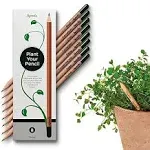 Sprout Original Edition | 8 Pack | Graphite Plantable Pencils with Seeds in Eco ...