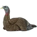 Avian X Breeder Turkey Decoy