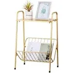 Gold Modern Rectangular Metal Side Table,Two-Stor<wbr/>y End-Table with Magazine Stora