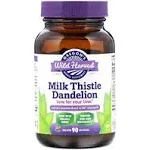 Milk Thistle Dandelion