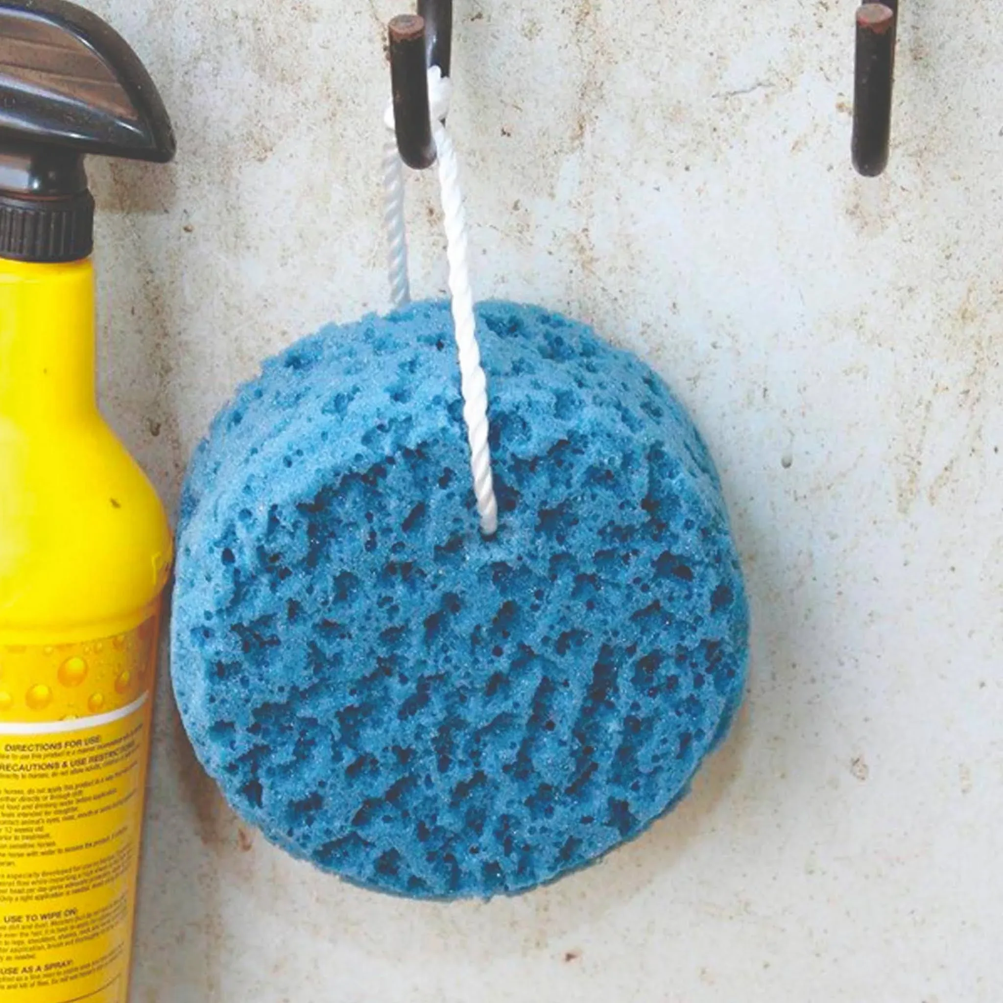 "Professional's Choice Sponge on a Rope"