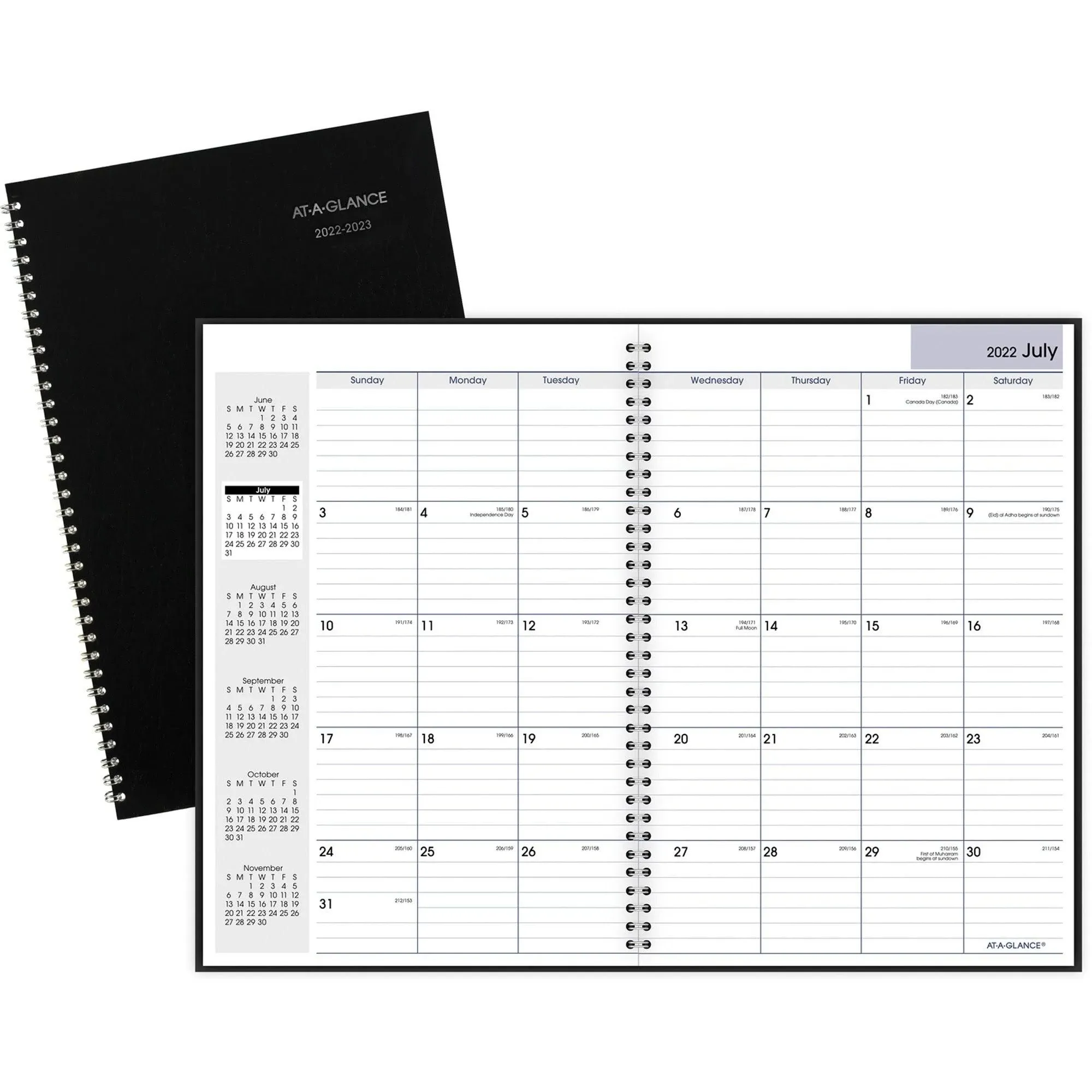 DayMinder Pocket-Sized Monthly Planner, Unruled Blocks, 6 x 3.5, Black